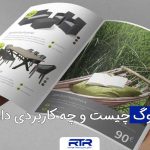 what-is-a-catalog-and-what-is-its-use?-1